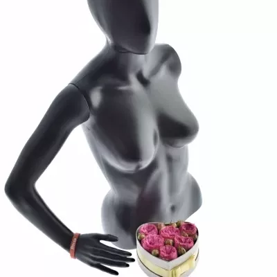 Krabička květin PINK PIANO FREILAND šampaň 15x8cm