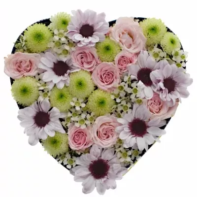 Krabička květin PINK SOPHIA modrá 19x9cm