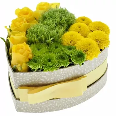 Krabička kvetín Senorita šampaň 15x8cm