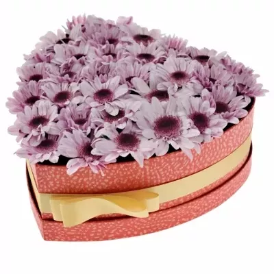 Míchaná krabička fialových květin STRESA 24x10cm