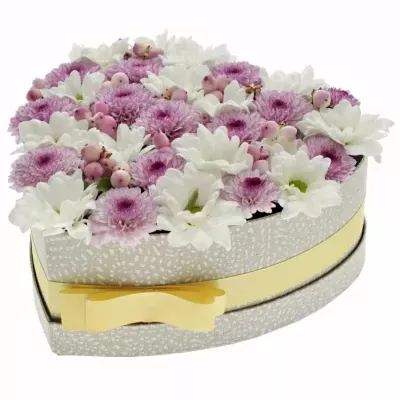 Krabička květin SWEET LORIE šampaň 24x10cm