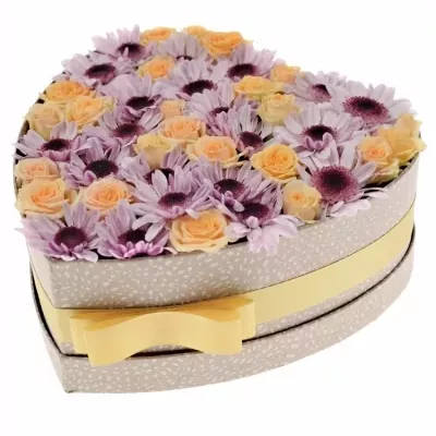 Krabička květin SWEET STRESSA šampaň 24x10cm