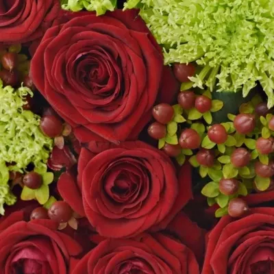 Krabička květin WENEZZA červená 19x9cm