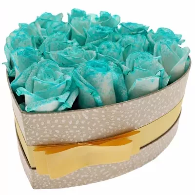 Krabička ledově modrých růží ICE BLUE VENDELA šampaň 19x9cm