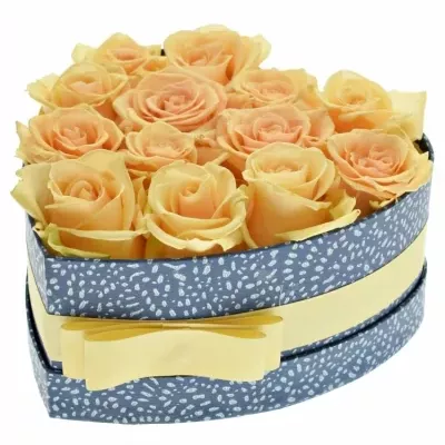 Krabička meruňkových růží PRIMA DONNA modrá 19x9cm