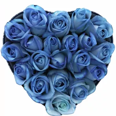 Krabička modrých růží LIGHT BLUE SNOWSTORM modrá 15x8cm