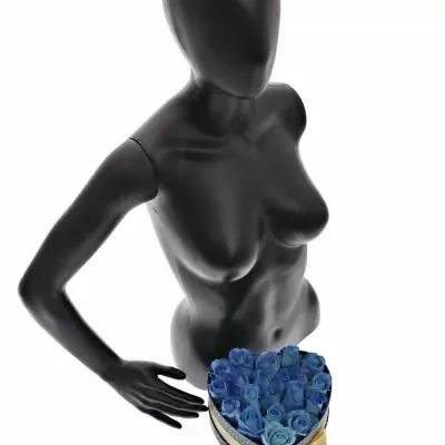 Krabička modrých růží LIGHT BLUE SNOWSTORM modrá 15x8cm