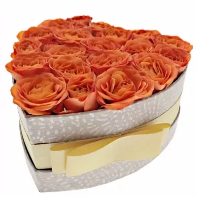 Jednodruhová krabička oranžových růží BABE 15x8cm