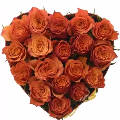 Krabička oranžových růží DEVOTED červená 24x10cm