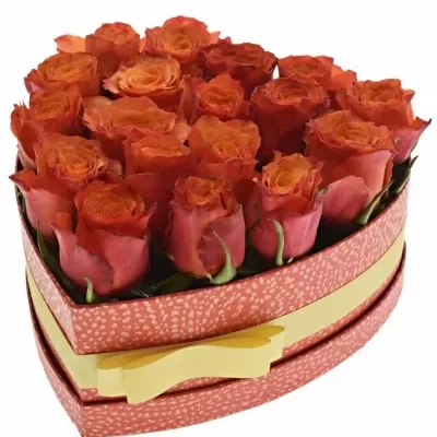 Krabička oranžových růží DEVOTED červená 24x10cm