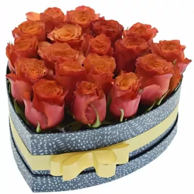 Jednodruhová krabička 18 oranžových růží DEVOTED 24x10cm