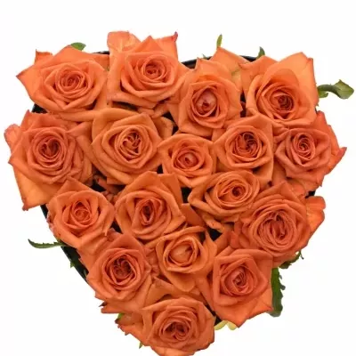 Krabička oranžových růží NARANGA modrá 24x10cm