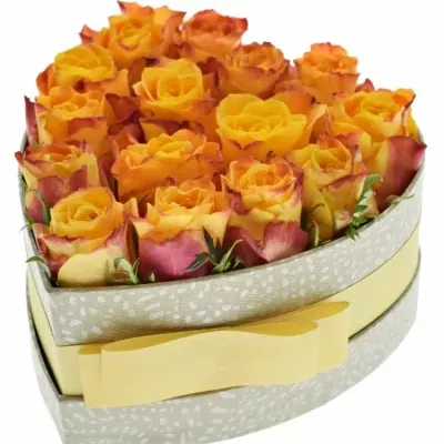 Krabička oranžových růží SOMBRERO šampaň 15x8cm
