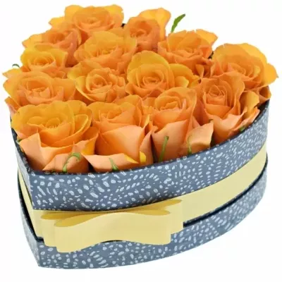 Krabička oranžových růží TYCOON modrá 19x9cm