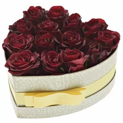 Krabička rudých růží BURGUNDY šampaň 19x9cm