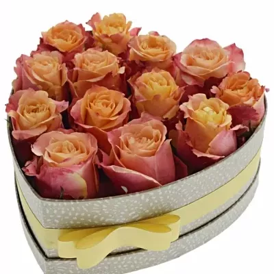 Jednodruhová krabička 13 růží 3D 24x10cm