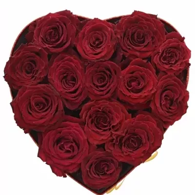 Krabička růží ABBA červená 24x10cm