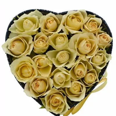 Krabička růží ANGELA modrá 15x8cm