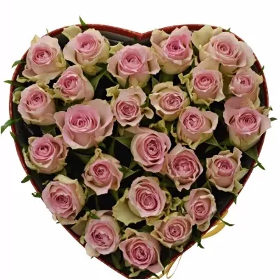 Krabička růží BISOU červená 24x10cm