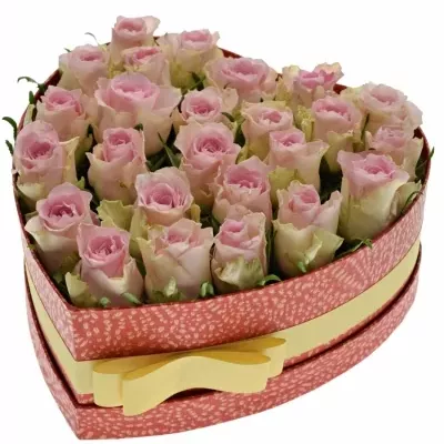 Krabička růží BISOU červená 24x10cm