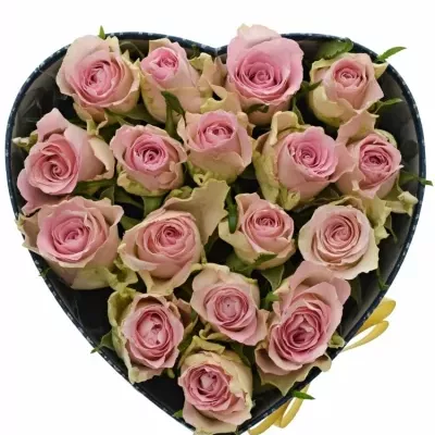 Krabička růží BISOU modrá 19x9cm