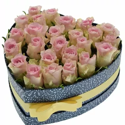 Jednodruhová krabička 25 růžových růží BISOU 24x10cm