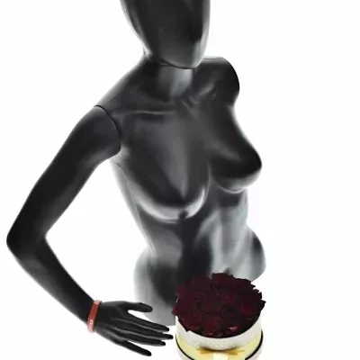 Krabička ruží BLACK BACCARA šampaň 18x8cm