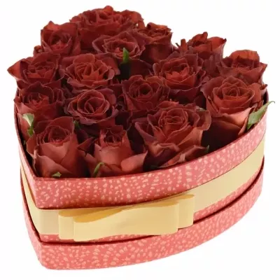 Krabička růží CAFE DEL MAR červená 19x9cm