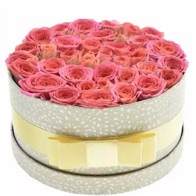 Jednodruhová krabička růžových růží CHIMO 18x8cm