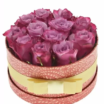 Jednodruhová krabička 12 fialových růží DEEP PURPLE 18x8cm