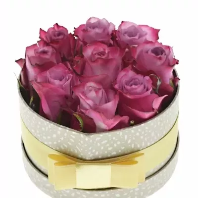 Jednodruhová krabička 9 fialových růží DEEP PURPLE 13,5x8cm
