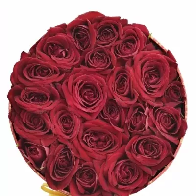 Krabička růží DOMINICA červená 13,5x8cm