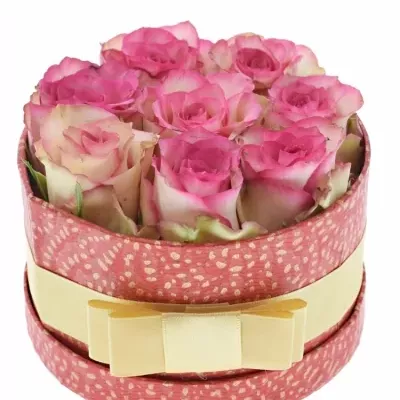 Jednodruhová krabička 8 růžových růží E-VENT 13,5x8cm