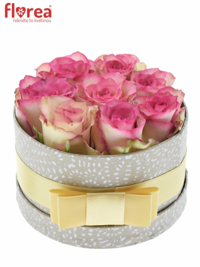 Krabička růží E-VENT šampaň 13,5x8cm