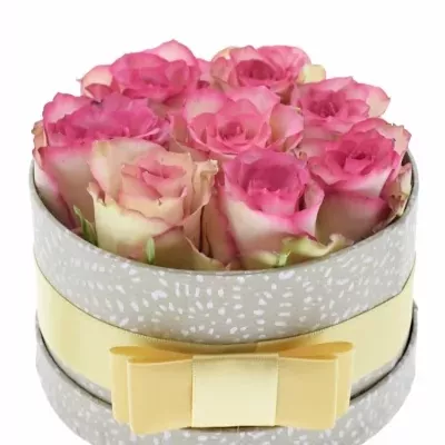 Jednodruhová krabička 8 růžových růží E-VENT 13,5x8cm