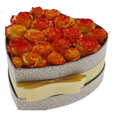 Jednodruhová krabička oranžových růží EYELINER 15x8cm