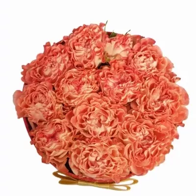 Krabička růží FAIR FLOW červená 13,5x8cm
