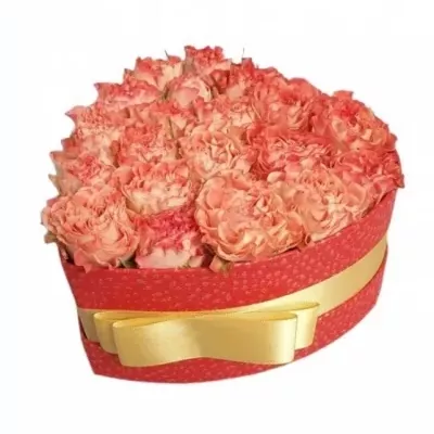 Krabička růží FAIR FLOW červená 15x8cm