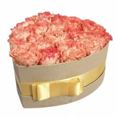 Krabička růží FAIR FLOW šampaň 15x8cm