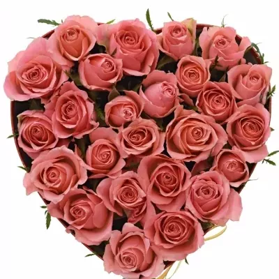 Krabička růží FEIWEL červená 24x10cm