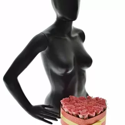 Krabička růží FEIWEL červená 24x10cm