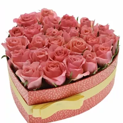 Krabička růží FEIWEL červená 24x10cm