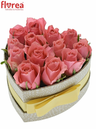 Krabička růží FEIWEL šampaň 15x8cm
