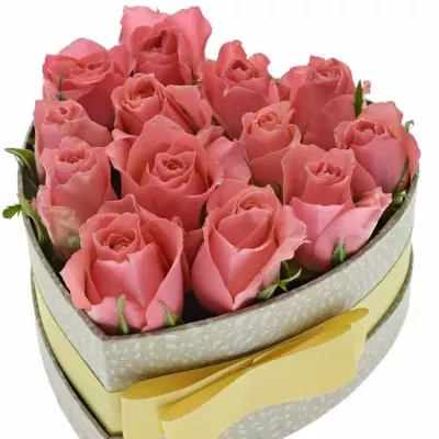 Jednodruhová krabička 13 růžových růží FEIWEL 15x8cm