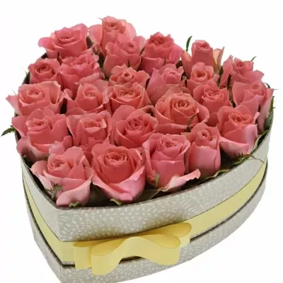 Jednodruhová krabička 25 růžových růží FEIWEL 24x10cm