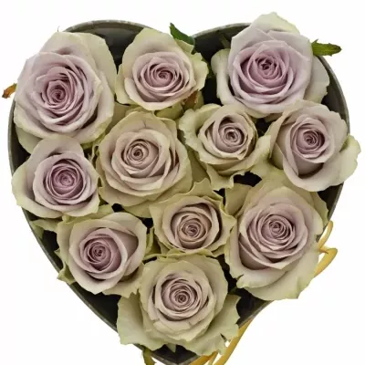 Krabička růží FIFTH AVENUE! šampaň 15x8cm