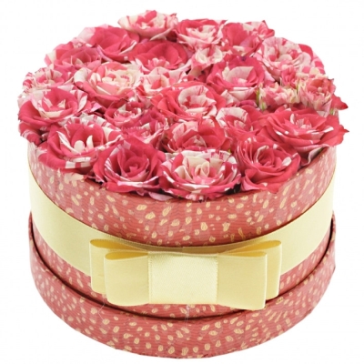 Krabička růží FIREWORKS červená 13,5x8cm