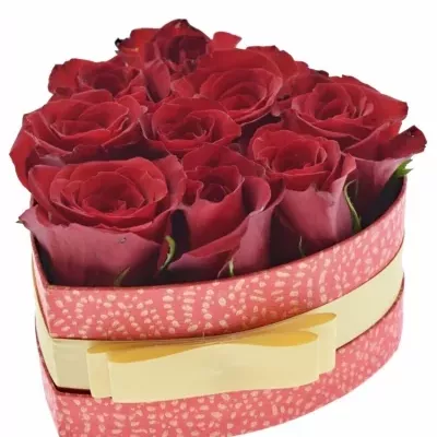 Jednodruhová krabička 9 červených růží FREEDOM 15x8cm