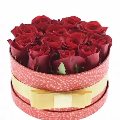Jednodruhová krabička 12 červených růží FREEDOM 18x8cm
