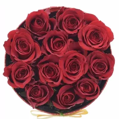Krabička ruží FREEDOM červená 18x8cm